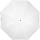 100973 D Profoto Umbrella Shallow Translucent S Back